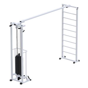 Профессиональный тренажер Биотонус + шведская стенка стек 100 кг Sabirgym SG087.1*2050*100 армс - Vasil-Gym