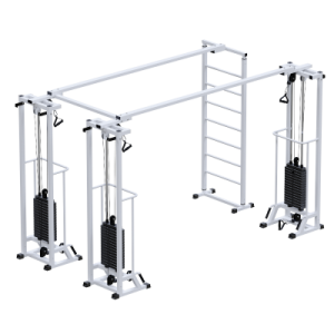 Профессиональный тренажер Биотонус-3 + шведская стенка стеки 3х100 кг Sabirgym SG087.3*2400*100 реабилитация - Vasil-Gym