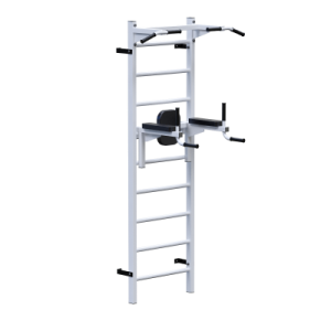 Силовой тренажер Шведская стенка + турник + брусья Sabirgym SGL072 - Vasil-Gym