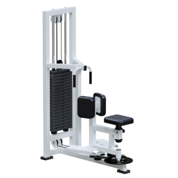 Профессиональный силовой тренажер Торс машина Sabirgym SG051 стек 100 кг васил - Vasil-Gym