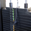    /  Protrain CP102 ( ) ARMS - Vasil-Gym