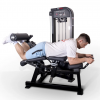   /   Protrain CP137    vasilgym - Vasil-Gym