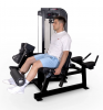   /   Protrain CP137    vasilgym - Vasil-Gym