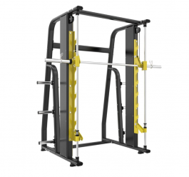     Protrain LFP216 proven quality - Vasil-Gym