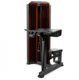    BRONZE GYM PARTNER ML-803   - Vasil-Gym