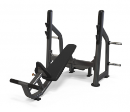 ������ ��� ���� ���� � ������������� ����� ������� AnyFit PEB102 - Vasil-Gym