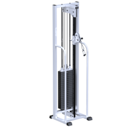 AR081.1100    100 - Vasil-Gym