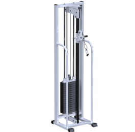 AR081.175    75 - Vasil-Gym