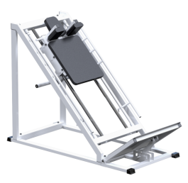 AR036    - Vasil-Gym