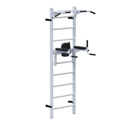 ������� �������� �������� ������ + ������ + ������ Sabirgym SGL072 - Vasil-Gym