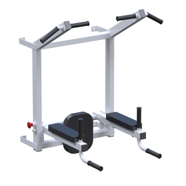 ������� �������� Sabirgym ������ + ������ + ����� Sabirgym SGL060 - Vasil-Gym