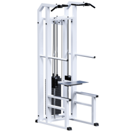 AR049.1 -   - Vasil-Gym