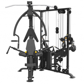  BRONZE GYM EVOLVE TriZone     - Vasil-Gym