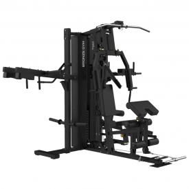  BRONZE GYM EVOLVE TripleX    - Vasil-Gym