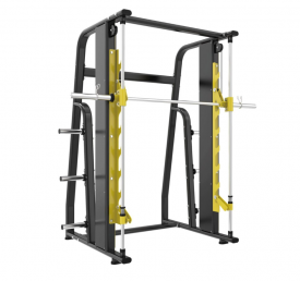      Protrain LFP216 proven quality - Vasil-Gym