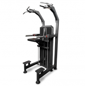   100  BRONZE GYM PARTNER ML-823  proven quality - Vasil-Gym
