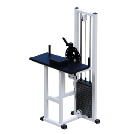 ���������������� ������� �������� ��� ��������� ������������ Sabirgym SG055*100 ���� 100 �� ����������� - Vasil-Gym