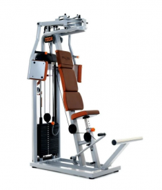 /  Teca SP520C ( )   uzsi - Vasil-Gym