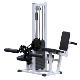    +    ( 100 ) AR053     - Vasil-Gym