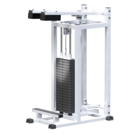 AR022.1 ������-������ (���� 100��) - Vasil-Gym