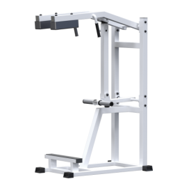 AR022.2 -  - Vasil-Gym