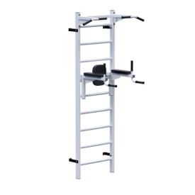 ������� �������� �������� ������ + ������ + ������ Sabirgym SGL072 - Vasil-Gym