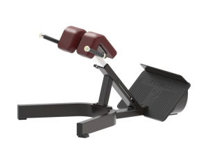 �������������� Protrain BPL145 ���������������� ������� vasil - Vasil-Gym