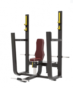      90  Protrain BPL151     - Vasil-Gym