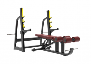 ������ ��� ���� ������������ Protrain BPL186 ���������������� ������� �������� armssport - Vasil-Gym