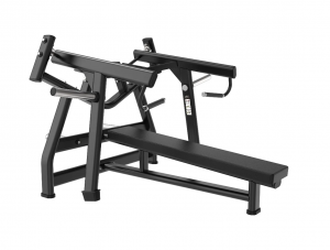 ������� ��� ���� �� ��������� ����� Protrain LFP128 ���������������� �������� vasil-gym - Vasil-Gym
