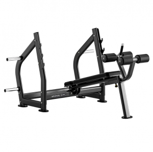 ������ ����������� ��� ���� � ������������� �������� BRONZE GYM RAVE RE57 - Vasil-Gym