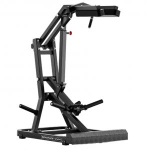 ������ ���� BRONZE GYM RAVE RV16 ���������������� �������� �������� - Vasil-Gym