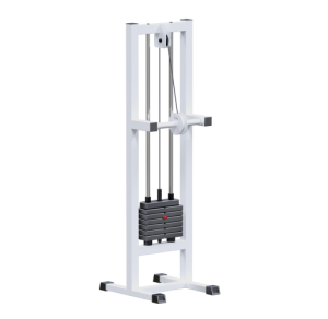 AR042     - Vasil-Gym