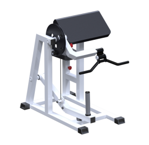 AR019.1 - - Vasil-Gym