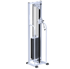 AR081.1100    100 - Vasil-Gym