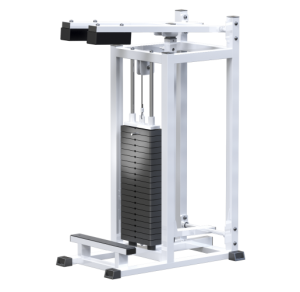 AR022.1 - ( 100) - Vasil-Gym