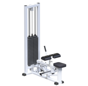 AR022.3    - Vasil-Gym