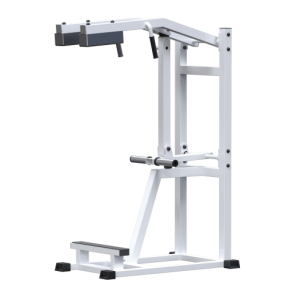 AR022.2 -  - Vasil-Gym