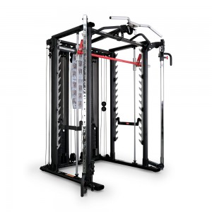 ������ ����� � ������������ � �������� Inspire SCS s-dostavka - Vasil-Gym