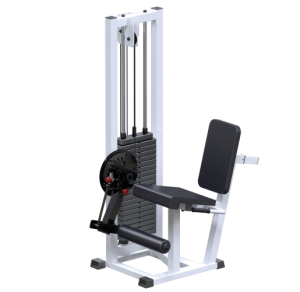 AR039 ���������� ��� - Vasil-Gym