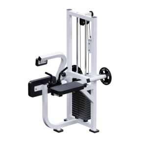 ������� �������� ��� ��������� ������ +������� + ����� Sabirgym SGINVAR056 - Vasil-Gym