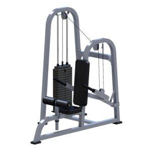 ���������������� ������� �������� ��� � ���� Sabirgym SGMSX210 ���� 100 �� ����� ���� - Vasil-Gym