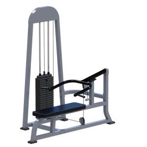 ���������������� ������� �������� ��� ��� Sabirgym SGMSX22 ���� 100 �� �������� - Vasil-Gym