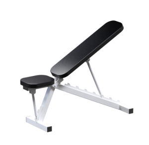 AR003 ������-����������� swat - Vasil-Gym